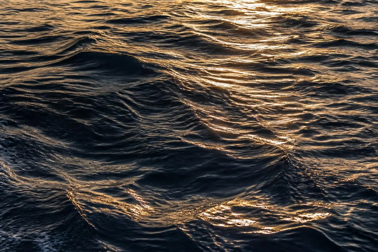 Golden light on the ocean surface